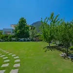 Willa Brezza